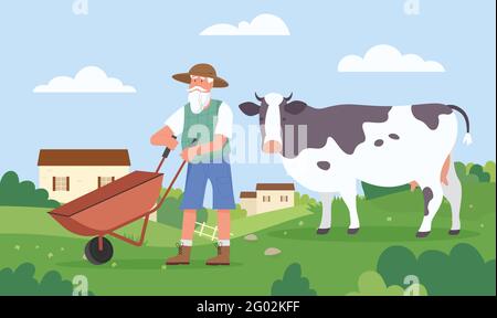 Elderly farmer working at farm field, agriculture work vector illustration. Cartoon senior agrarian rancher in hat holding wheelbarrow, aged man character farming, cow grazing on village grass Stock Vector