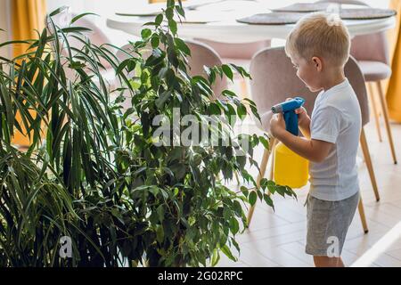 Little cute boy is watering indoor plants from a stylish watering can ...