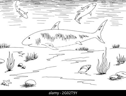 Shark underwater graphic sea black white sketch illustration vector Stock Vector