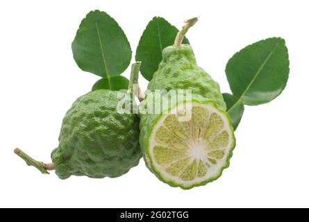 Kaffir lime fruits isolated on white background Stock Photo
