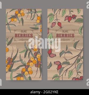 Set of two labels with dog rose and Common sea buckthorn branch color sketch. Berry fruits series. Stock Vector