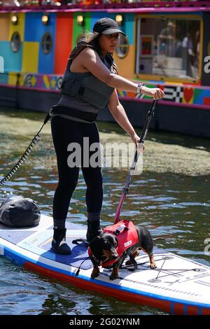 A woman paddle boards with a dog on the canal in Paddington Basin, north London, as Bank Holiday Monday could be the hottest day of the year so far - with temperatures predicted to hit 25C in parts of the UK. Picture date: Monday May 31, 2021. Stock Photo