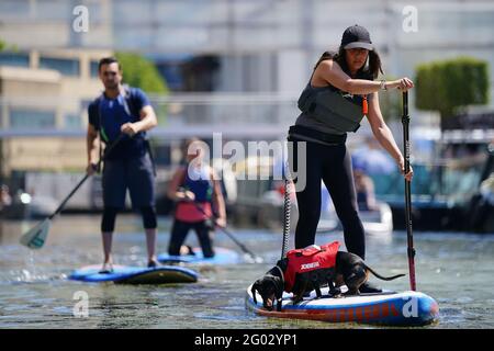 A woman paddle boards with a dog on the canal in Paddington Basin, north London, as Bank Holiday Monday could be the hottest day of the year so far - with temperatures predicted to hit 25C in parts of the UK. Picture date: Monday May 31, 2021. Stock Photo