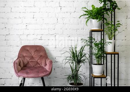 modern minimalism interior with pink chair and stand with green houseplants on white brick wall background Stock Photo