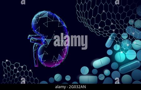 Human kidneys medicine treatment concept. Medical help therapy treatment. Urinary system cancer abdomen prevention poster template. Drugstore pill 3D Stock Vector