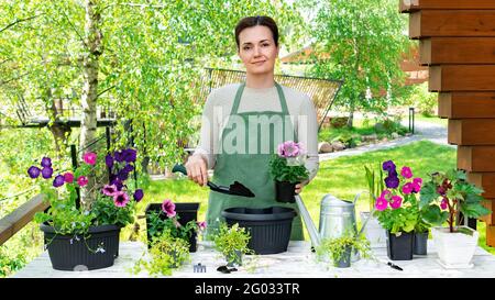 Portrait of a cute woman gardener who transplants flowers into flower pots to decorate the garden and home. A woman uses a spatula to plant flower see Stock Photo