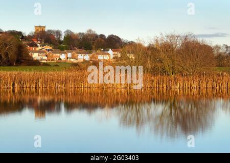 UK, South Yorkshire, Barnsley, Darfield and Wombwell Ings Nature Reserve Stock Photo