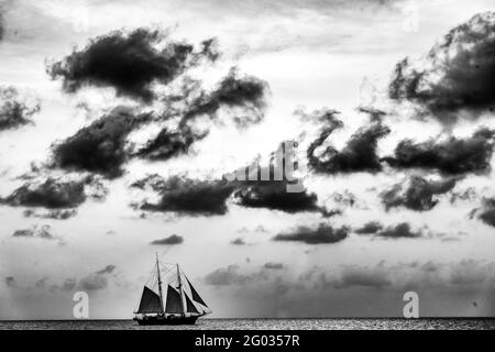 Schooner sailing along the horizon Stock Photo