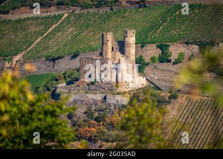 Ruedesheim, Hesse, Germany - August 19, 2020: View at Castle Ehrenfels and the surrounding vineyards Stock Photo