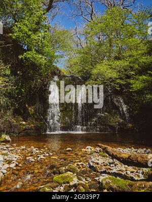 Cray Gill waterfall in North Yorkshire Dales. Showing a waterfall surrounded by trees on a hot sunny summers day. Stock Photo