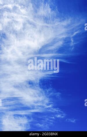Beautiful Cirrus cloud on a blue summer sky Stock Photo