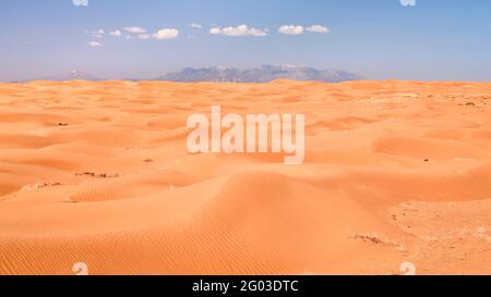 midday view of sand dunes field in San Rafael Swell area in Utah (Lower San Rafael Road) Stock Photo