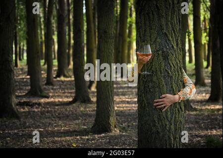Abstract Young woman with Glass of Rose Wine Hugging Tree in Forest Stock Photo