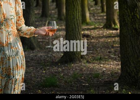 Abstract Young woman with Glass of Rose Wine in Forest Stock Photo