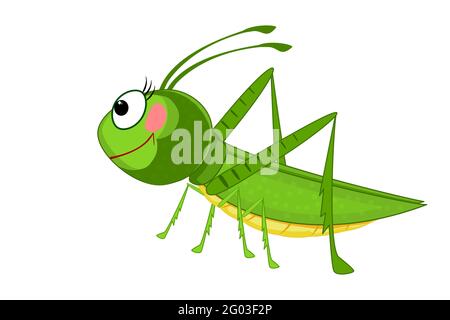 Cartoon grasshopper isolated on white background. Green cricket. Cute insect mascot. Lovely bug icon. Bug icon. Friendly beetle.Vector illustration Stock Vector