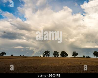 A rainbow over a line of trees on a hill in a plowed field Warmia and Masuria. Poland Stock Photo