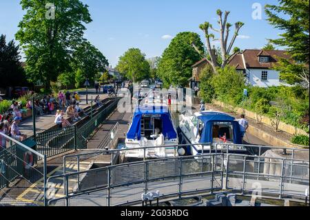 Maidenhead, Berkshire, UK. 31st May, 2021. Thames Valley Police have reported that a woman's body has been recovered in the River Thames at Boulters Lock today at 7.15am. It has been reported in the press that the body was found by a walker near to the Boathouse Restaurant. The woman has yet to be identified and the death is being treated as unexplained. Boulters Lock closed around 8am this morning and reopened just before 5pm when a queue of waiting boats were allowed through the lock again following the Police investigation. Credit: Maureen McLean/Alamy Live News Stock Photo