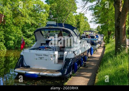 Maidenhead, Berkshire, UK. 31st May, 2021. Thames Valley Police have reported that a woman's body has been recovered in the River Thames at Boulters Lock today at 7.15am. It has been reported in the press that the body was found by a walker near to the Boathouse Restaurant. The woman has yet to be identified and the death is being treated as unexplained. Boulters Lock closed around 8am this morning and reopened just before 5pm when a queue of waiting boats were allowed through the lock again following the Police investigation. Credit: Maureen McLean/Alamy Live News Stock Photo