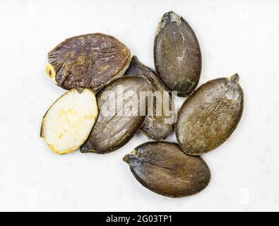 several styrian pumpkin hulless seeds close up on gray ceramic plate Stock Photo