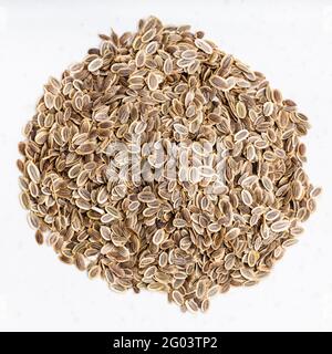 top view of pile of dried dill seeds close up on gray ceramic plate Stock Photo