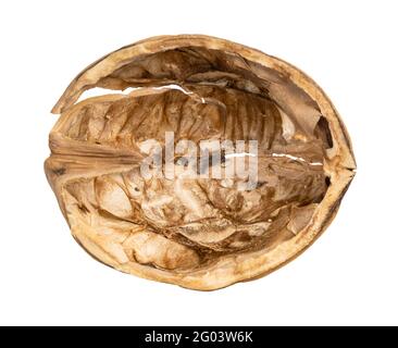 top view of empty walnut shell isolated on white background Stock Photo
