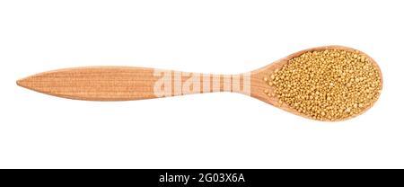 top view of granulated dried yeast in wood spoon isolated on white background Stock Photo