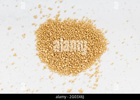 top view of pile of granulated dried yeast close up on gray ceramic plate Stock Photo