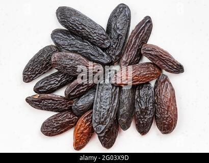 top view of pile of dried tonka beans close up on gray ceramic plate Stock Photo