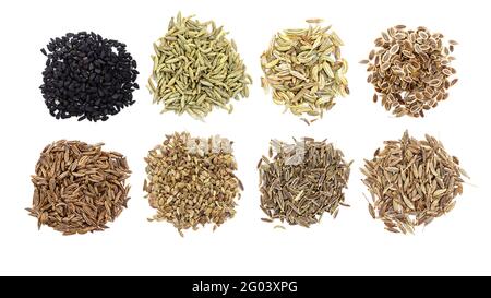 piles of various cumin like fruits (nigella, anise, fennel, dill, caraway, ajwain, elwendia, cumin) on white backgroud Stock Photo