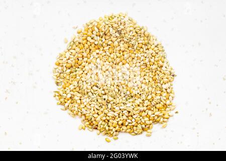 top view of pile of whole-grain foxtail millet seeds close up on gray ceramic plate Stock Photo