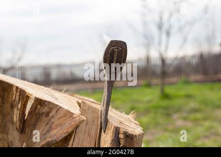An old ax with a long handle sticks out of the stump. Sunny summer day. Ax for cutting firewood. An old ax was stuck in a stump on the farm Stock Photo
