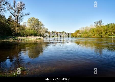 deciduous forest and the wide-spread Warta River in Poland Stock Photo