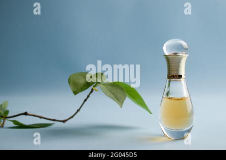 PARIS, FRANCE - May 15, 2021: Coco Chanel Mademoiselle, Dior, Shiseido Zen  on the light blue background. Beautiful design and feminine fragrance for w  Stock Photo - Alamy