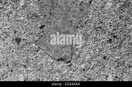 Black and white concrete wall. Fragment of a wall with scratches and cracks. Ancient wall. Stock Photo