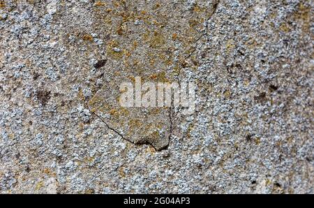 Cracked old wall in focus. Fragment of a wall with scratches and cracks. Ancient wall. Covered with moss Stock Photo