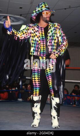 Macho man randy savage hi-res stock photography and images - Alamy