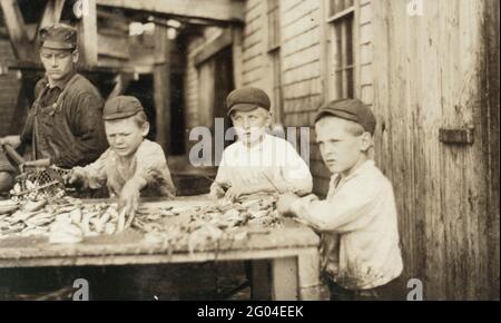 Child Labour: Young boys (10-12 yrs old) cutting fish at Eastport in Maine. Photo 1911 Stock Photo