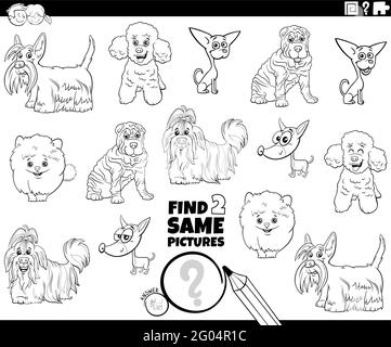 Black and white cartoon illustration of finding two same pictures educational game with funny purebred dogs animal characters coloring book page Stock Vector