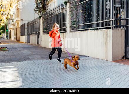 Happy little boy running with his dachshund dog on a city sidewalk. Stock Photo