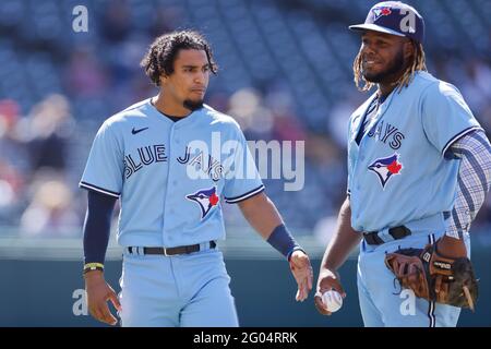 Vladimir Guerrero Jr. Toronto Blue Jays #27 Gray India