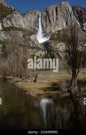 Yosemite's Upper Yosemite Falls is reflected in a pocket of snow-melt water, Yosemite National Park, California, Stock Photo