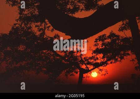 1990s Zimbabwe - Orange sunrise seen from Victoria Falls Hotel ca. 1998 Stock Photo