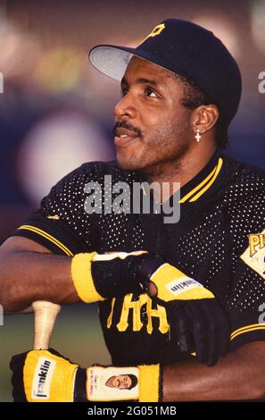 Barry bonds pirates hi-res stock photography and images - Alamy