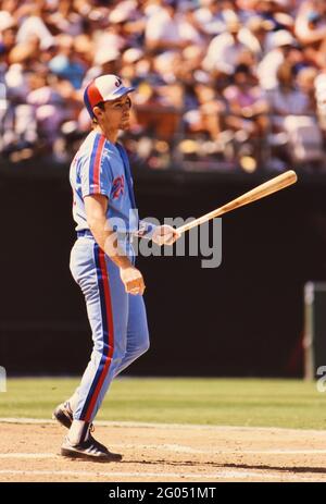 Home of the montreal expos hi-res stock photography and images - Alamy