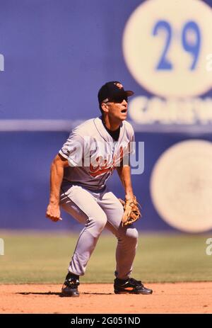 Baltimore Orioles baseball player Cal Ripken Jr. at bat -- Please credit  photographer Kirk Schlea Stock Photo - Alamy