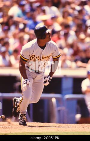 Pittsburgh Pirates outfielder Barry Bonds -- Please credit photographer  Kirk Schlea Stock Photo - Alamy