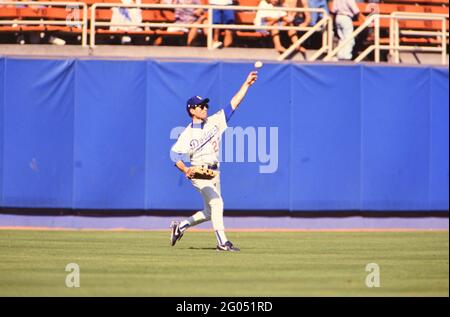 Los Angeles baseball player Brett Butler watches as teammates give