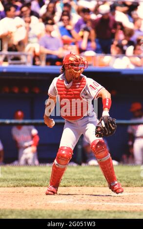 Catchers gear of a major league baseball player sitting by home plate --  Please credit photographer Kirk Schlea Stock Photo - Alamy