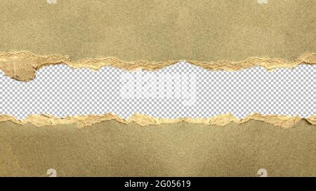 Tear off gray paper for abstract background designs and copy area. Stock Photo