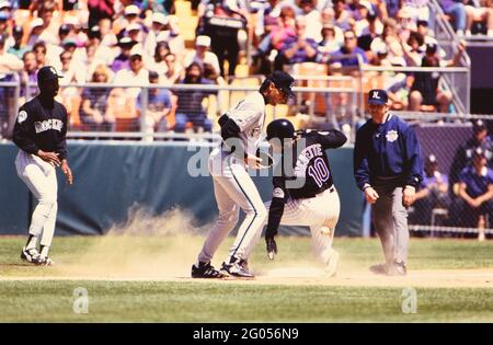 Colorado Rockies outfielder Dante Bichette -- Please credit photographer  Kirk Schlea Stock Photo - Alamy